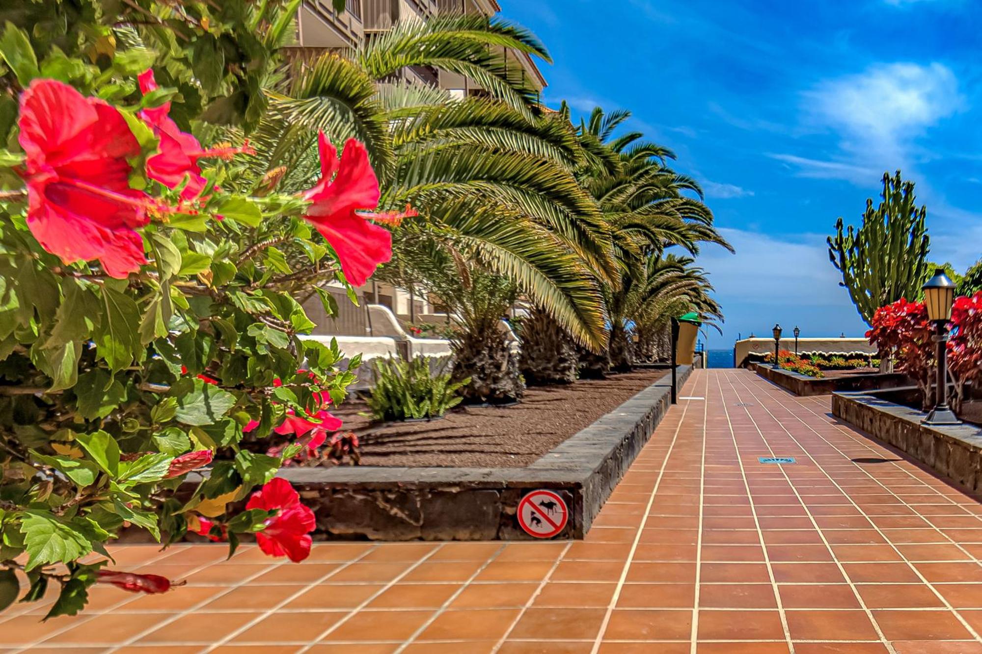One Bedroom, Sea Front, In Complex With Pool *